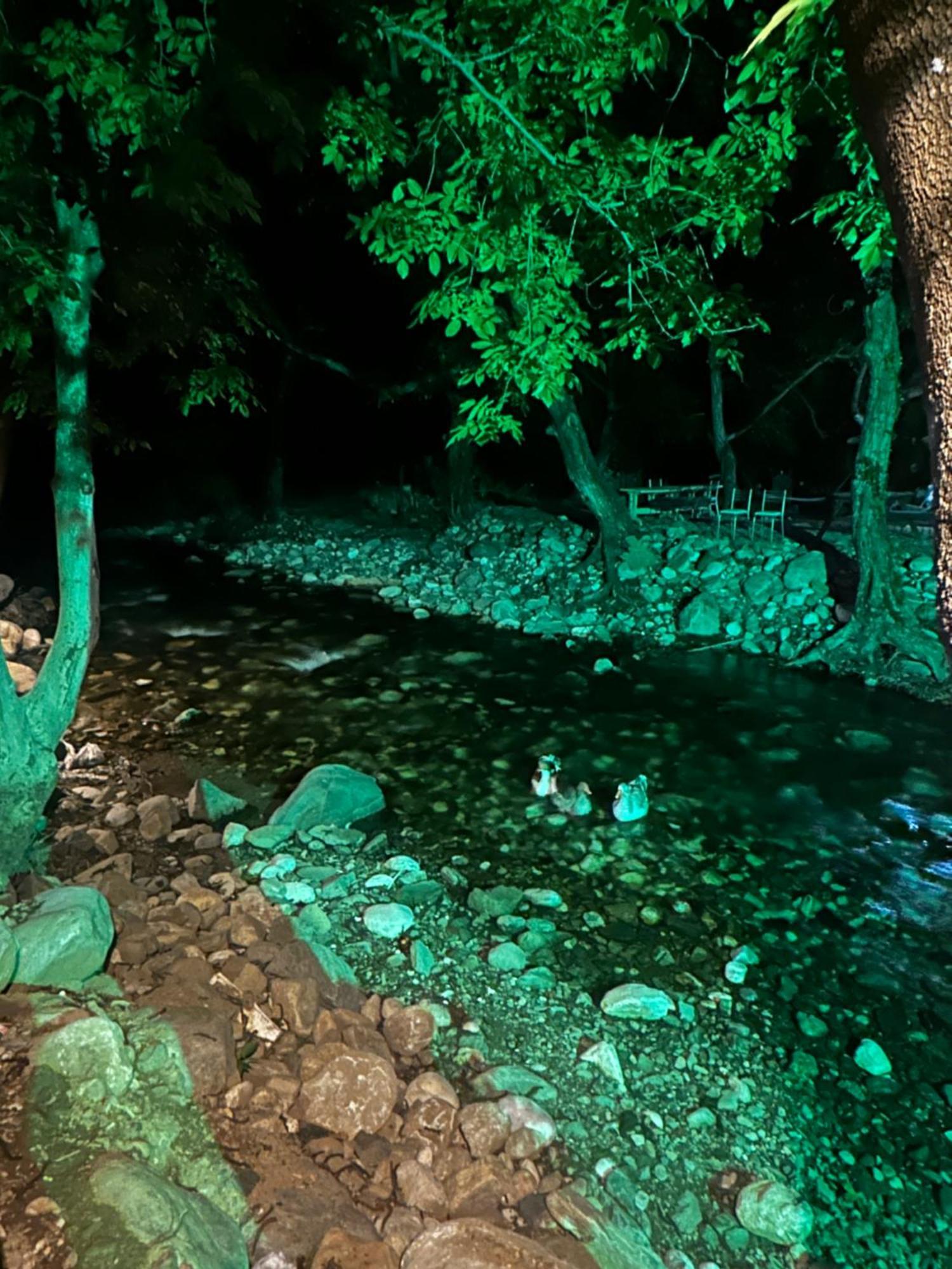 Sakliderebutikotel Αδραμύττιο Εξωτερικό φωτογραφία